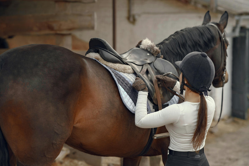 Saddles & Tack