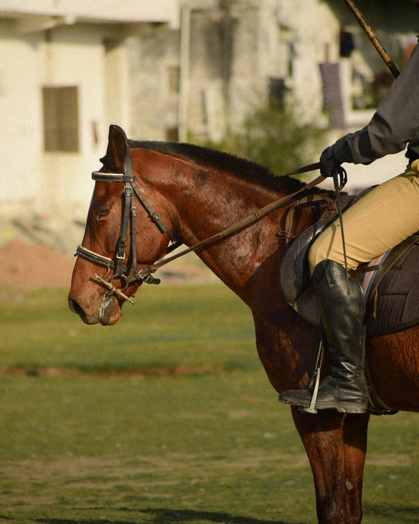 Helmets & Protection